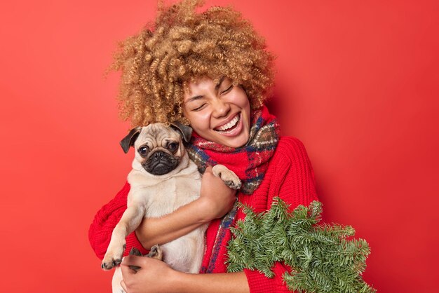 Happy pet lover embrace with love pug dog expresses love and care has festive mood prepares for Christmas celebration holds green wreath made of fir tree branches isolated over red background