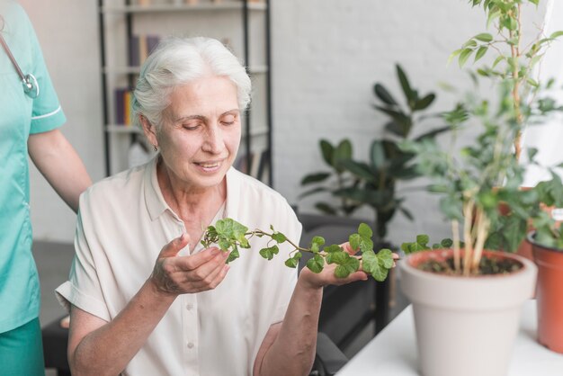 Happy senior woman looking at ivy growing in pot