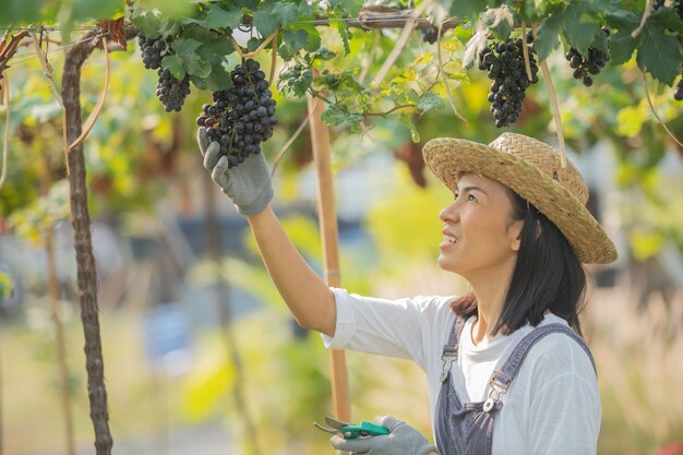 무료 사진 바지와 농장 드레스 밀짚 모자를 쓰고 행복 웃는 쾌활한 포도원 여성