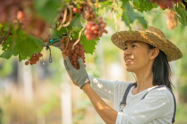 Happy smiling cheerful vineyard female wearing overalls and a farm dress straw hat