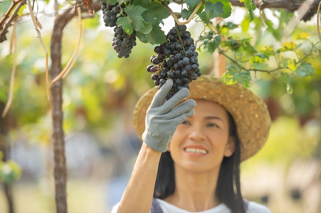 Счастливая улыбающаяся веселая женщина-виноградник в комбинезоне и соломенной шляпе в фермерском платье