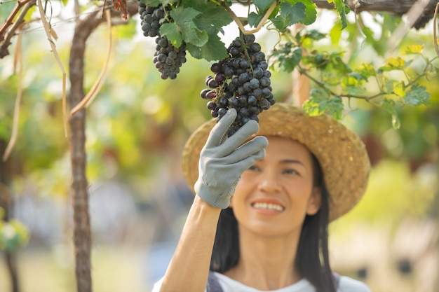 Happy smiling cheerful vineyard female wearing overalls and a farm dress straw hat