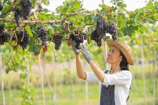 Happy smiling cheerful vineyard female wearing overalls and a farm dress straw hat