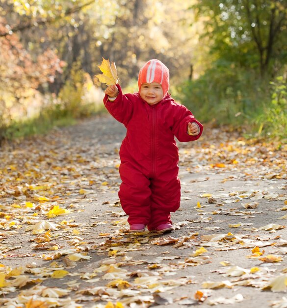 Happy toddler  in autumn