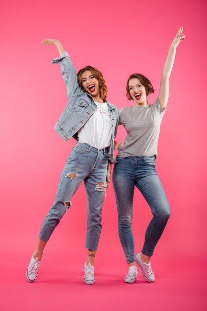 Happy two ladies friends standing isolated