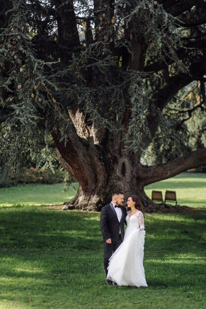 イタリア、コモ湖での幸せな結婚式のカップル