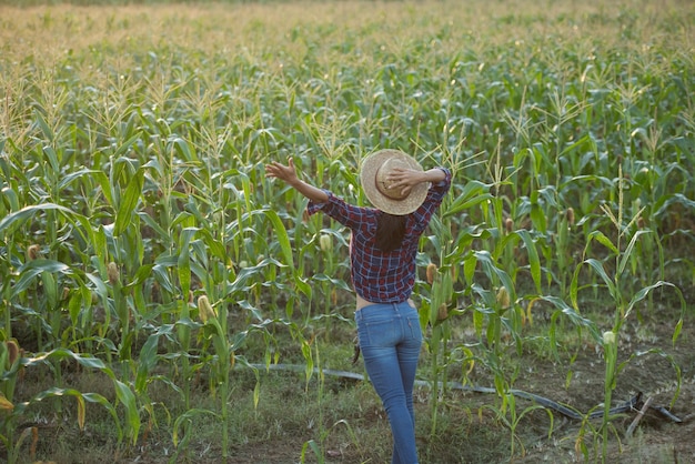 Happy woman enjoying the life in the field, Beautiful morning sunrise over the corn field. green corn field in agricultural garden and light shines sunset in the evening Mountain background.