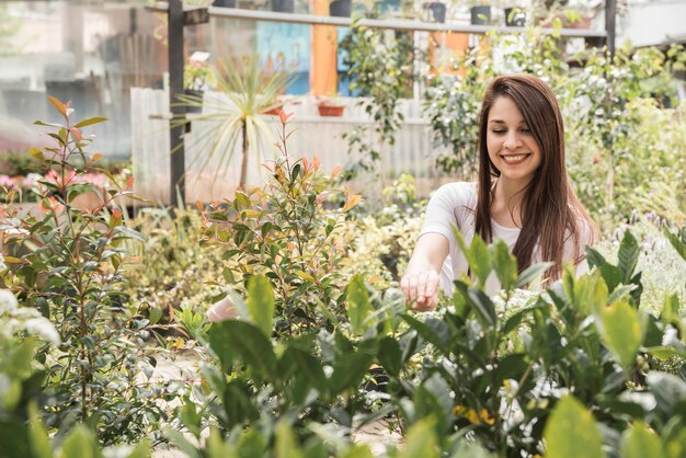 Happy woman examining plants in greenhouse