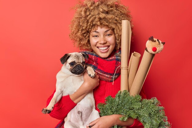 Счастливая женщина держит собаку-мопса, празднует праздничное мероприятие, несет праздничные атрибуты, украшает комнату перед Новым годом, носит свитер и шарф на шее, изолированные на красном фоне. Подготовка к празднику