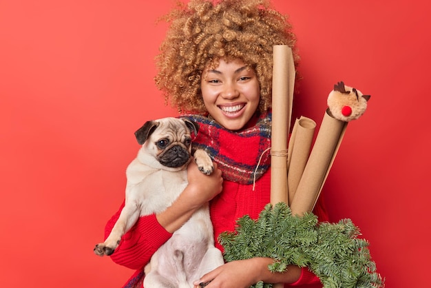 幸せな女性はパグ犬を保持し、新年が赤い背景で隔離された首の周りにセーターとスカーフを着る前に、休日の属性が部屋を飾るお祝いのイベントを祝います。休日の準備