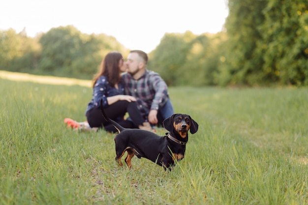 Happy young caucasian couple sat on park lawn with puppy sausage dog pet on a sunny day