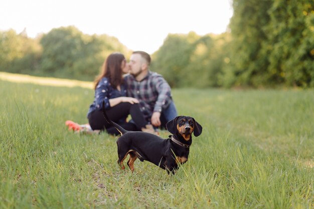 Happy young caucasian couple sat on park lawn with puppy sausage dog pet on a sunny day