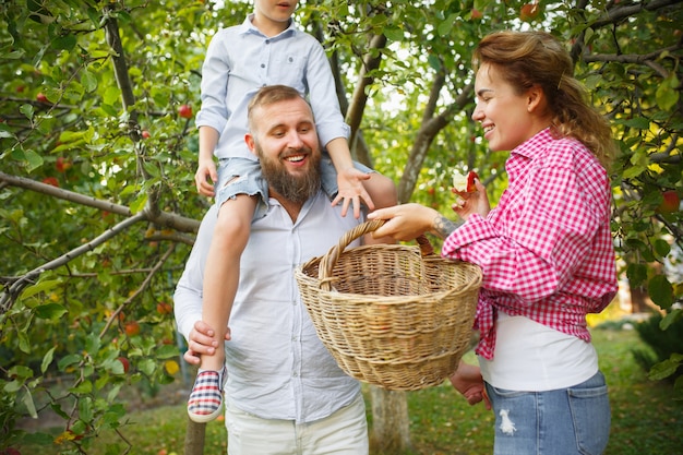 Happy young family during picking berries in a garden outdoors. Love, family, lifestyle, harvest, autumn concept. Cheerful, healthy and lovely.