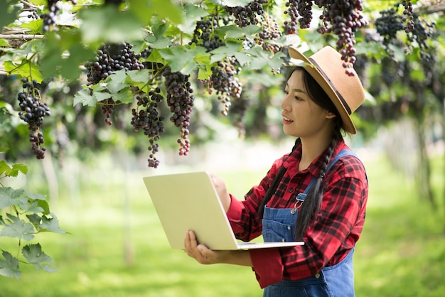 熟した青いブドウの枝を持って幸せな若い女性庭師