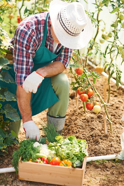 Hard work in garden brings results
