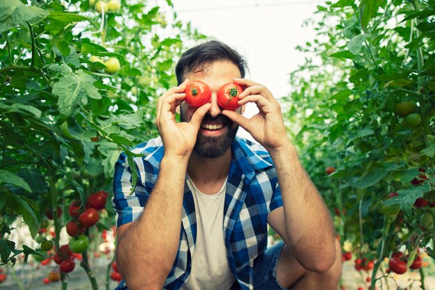 정원에서 토마토 야채로 어리석은 얼굴을 만드는 근면 한 농부