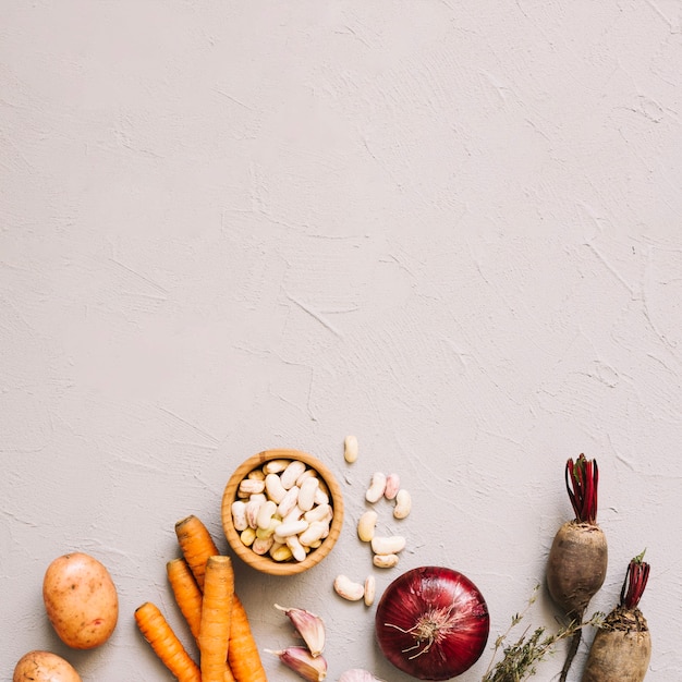 Harvested different vegetables