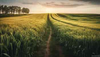 Бесплатное фото Сбор пшеницы на тихом сельском лугу, созданном ии