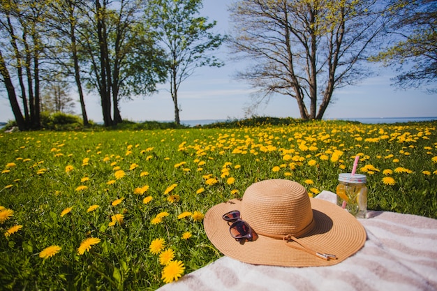 Hat and sunglasses in a beautiful landscape