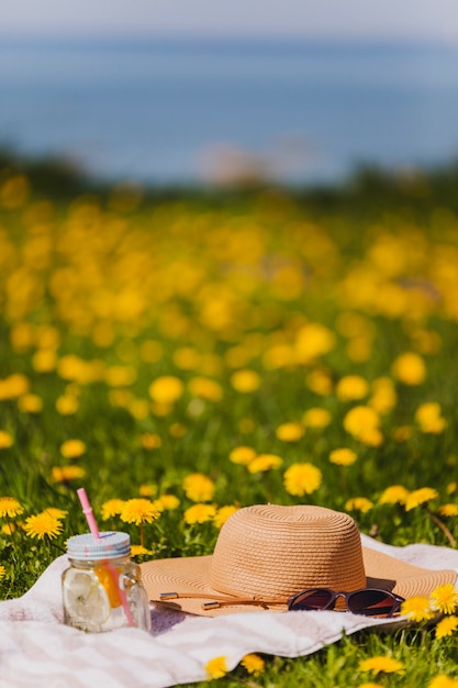 Hat and sunglasses on the grass