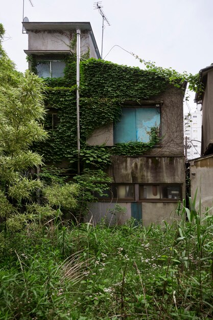 유령의 집 배경과 녹색 식물