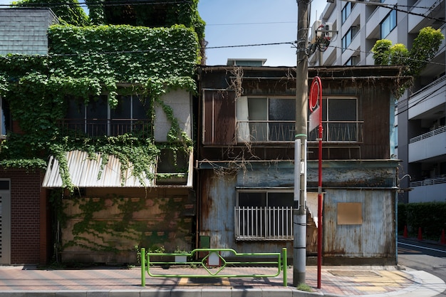 植物とお化け屋敷の背景