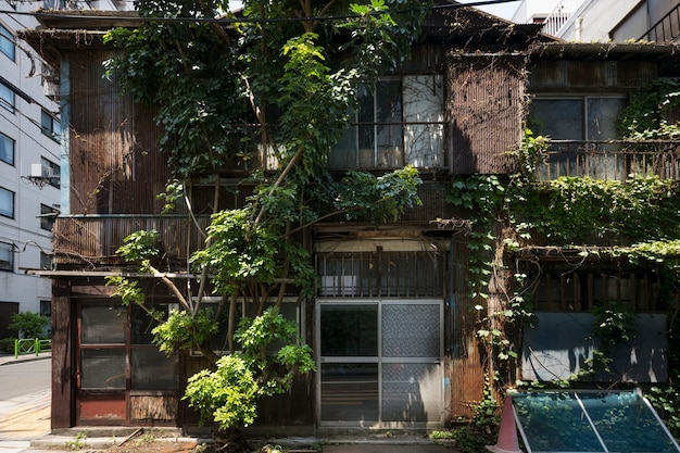 お化け屋敷の外観の背景