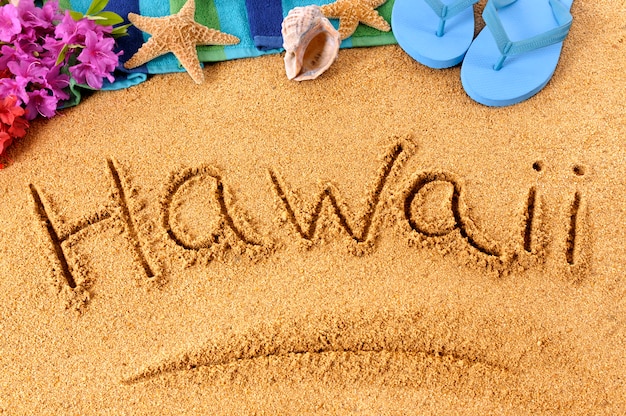ハワイのビーチの執筆