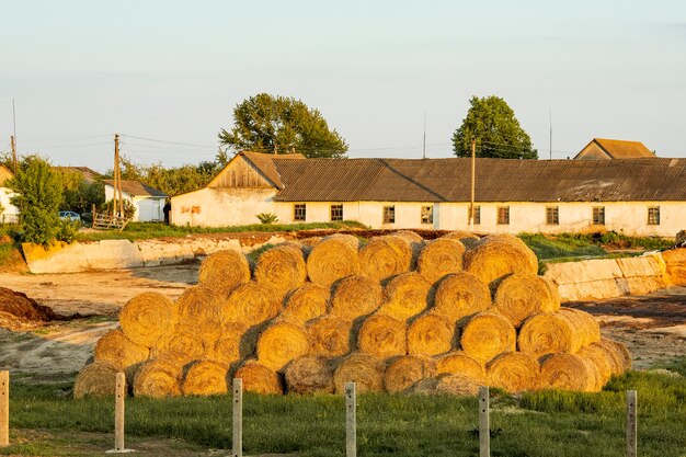 Hay bales at countryside