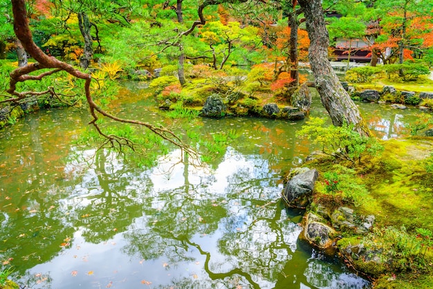 Бесплатное фото Дымка свежесть горизонтальный цвет воды