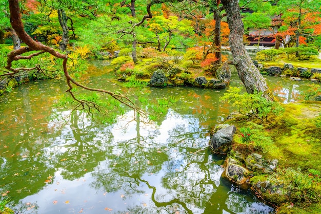 Foto gratuita foschia freschezza colore acque orizzontali