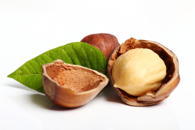 Free photo hazelnuts