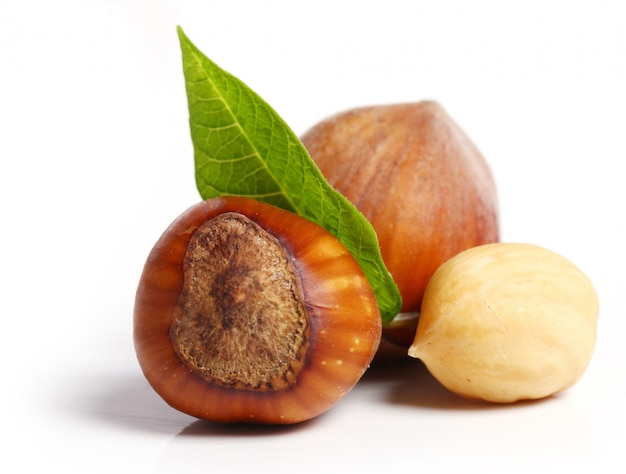  hazelnuts