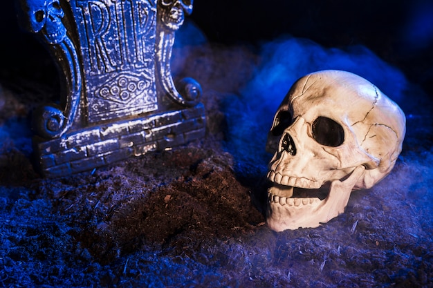 Headstone near skull on ground