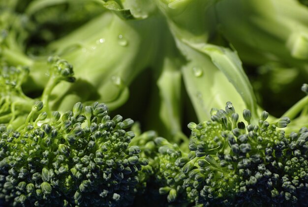 Healthy broccoli