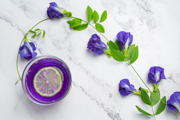 Foto gratuita bevanda salutare, tè biologico ai fiori di pisello blu con limone e lime.