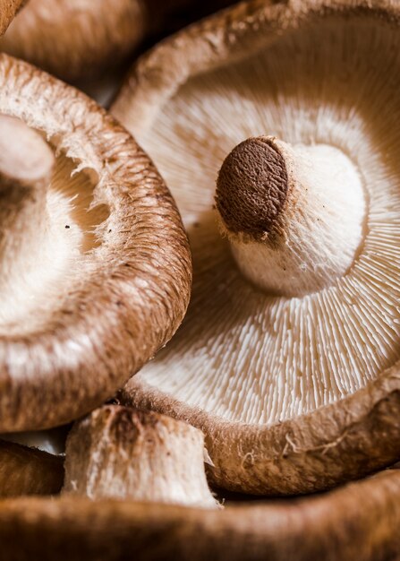 Healthy and fresh mushrooms in store