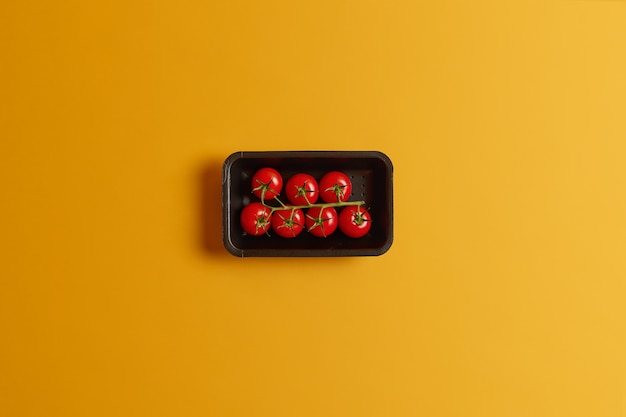 Healthy little small cherry tomatoes on one stem in black container isolated over yellow background. Delicious vegetables for making tomatoe juice or vegetarian summer salad. Perfect tasty crop