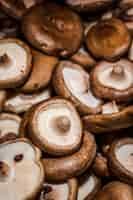 Free photo healthy mushrooms organic harvest for sales