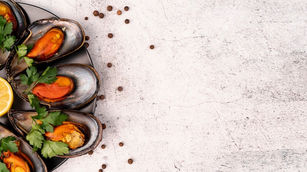 Foto gratuita antipasto sano delle cozze con lo spazio della copia