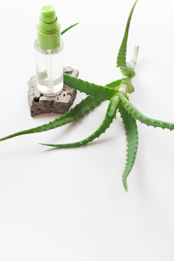 Free Photo healthy spa concept and aloe vera spray