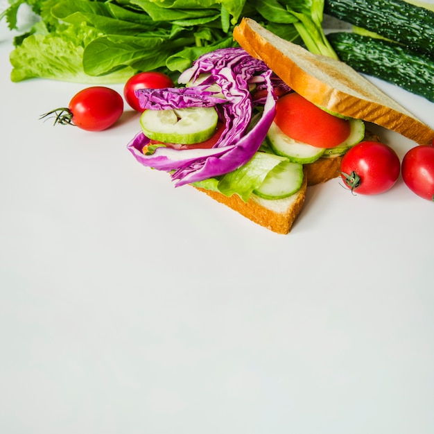 Healthy vegetarian sandwich with purple cabbage and cucumber