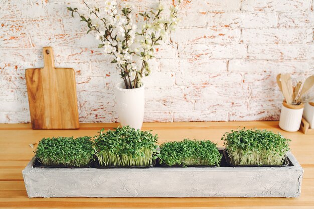 Heap of beet micro greens on table 