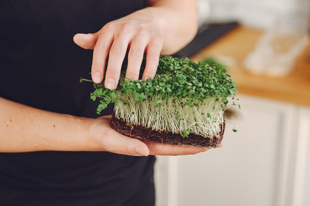 Heap of beet micro greens on table 