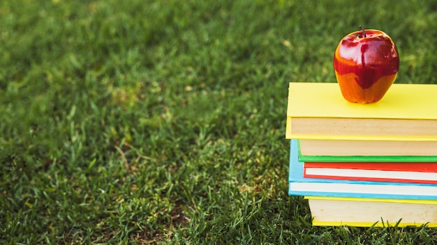 Heap of bright books with apple on top on green lawn 