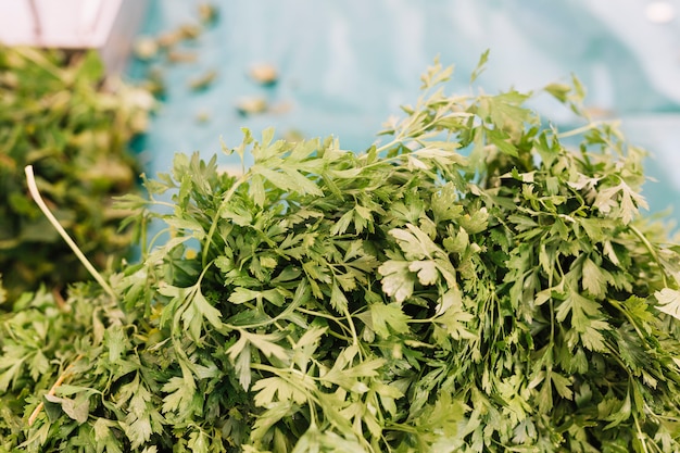 Heap of fresh green parsley