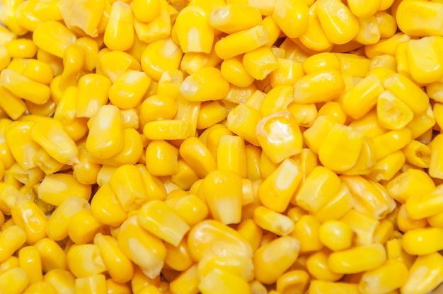 ヒープ穀物maiz背景杭