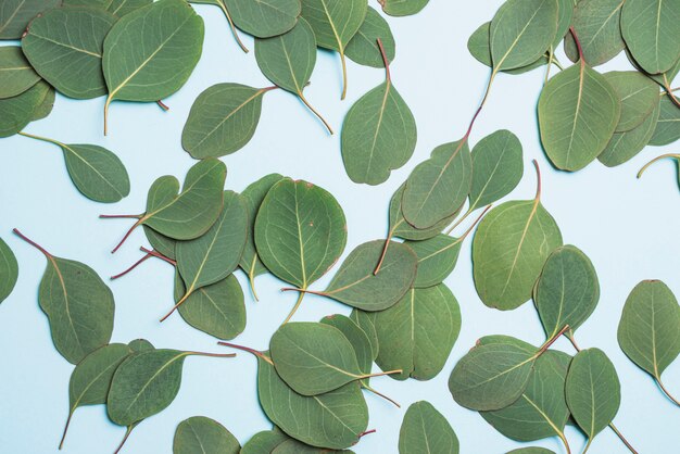 Heap of green leaves