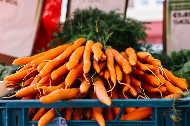 Heap of harvested carrots in crate