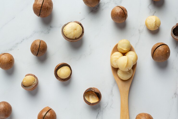 Free Photo heap of macadamia raw seed